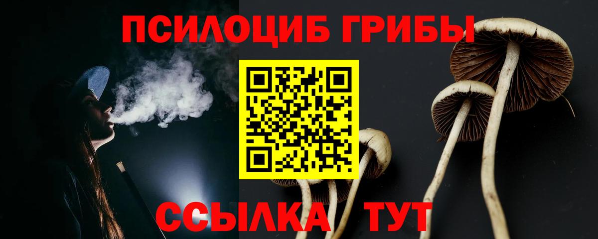 Владикавказ  Галлюциногенные грибы Cubensis  Псилоцибиновые грибы мухоморы  Вход с VPN 